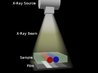 Simulated Geometry of X-Ray Imaging Simulation